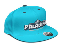 Paladins logo Snapback